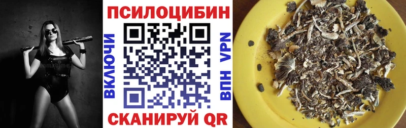 Галлюциногенные грибы Psilocybine cubensis  Сельцо 
