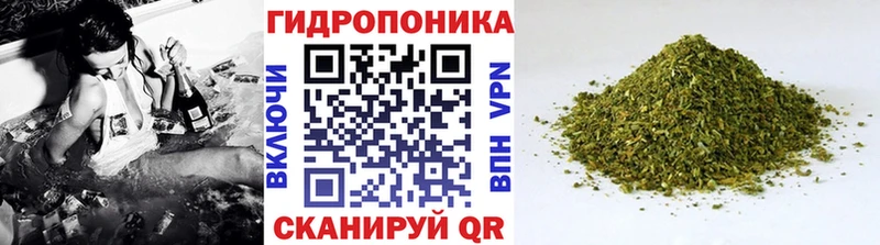 Каннабис планчик Сельцо